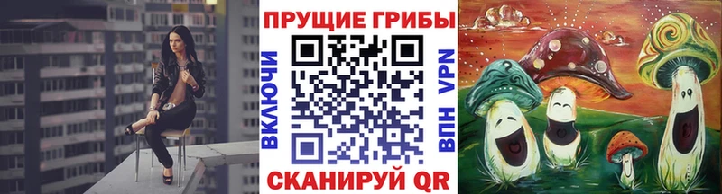 darknet официальный сайт  Бодайбо  Псилоцибиновые грибы Cubensis 